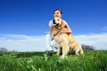 foto de terapias naturales para mascotas Terapias Naturales o alternativas para Mascotas