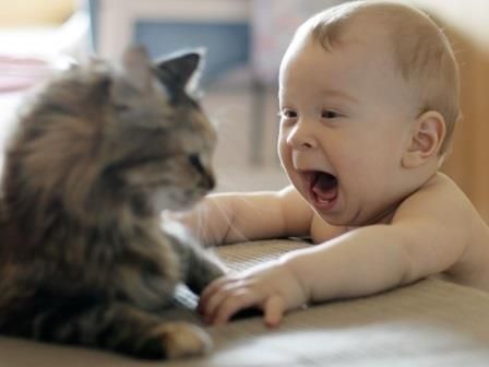Foto de Cómo Enseñar a mi Hijo a Cuidar su Mascota Cómo Enseñar a mi Hijo a Cuidar su Mascota
