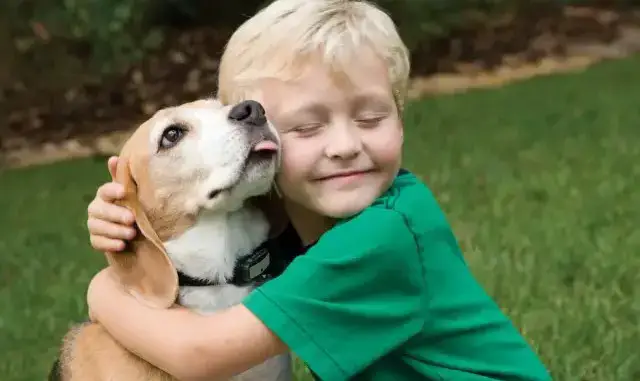 Tengo derecho a que me proteja la ley. Responsabilidades Del Nino Sobre El Cuidado De Las Mascotas