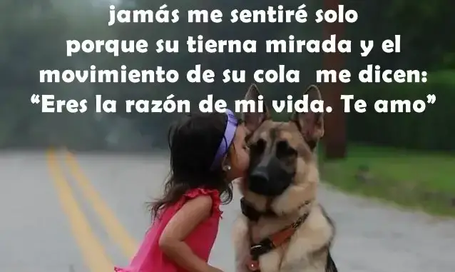 To revisit this article, select. Frases Lindas Para Mi Perro Listado De Frases Para Perros
